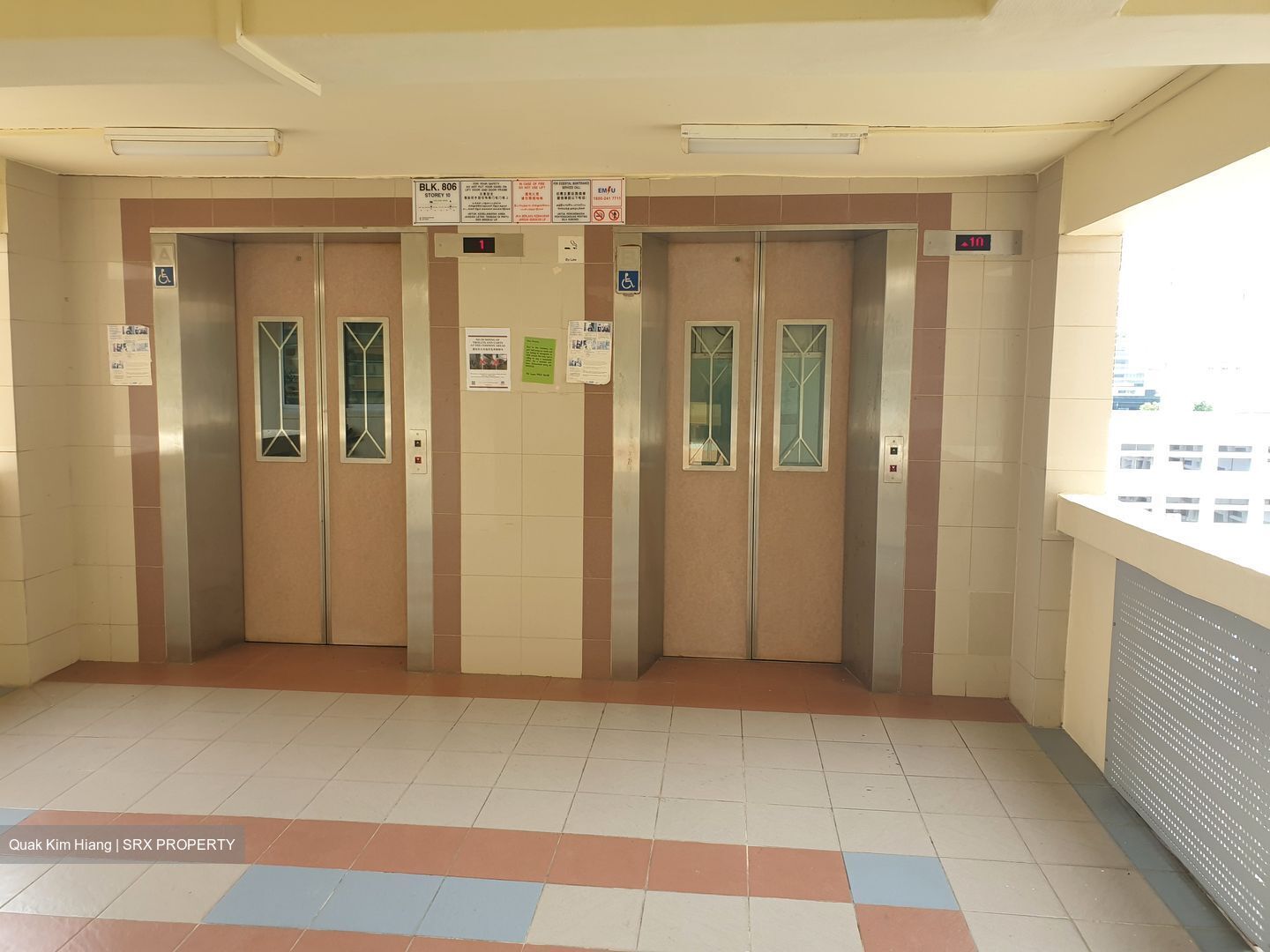 Blk 806 King George's Avenue (Kallang/Whampoa), HDB 3 Rooms #560676931